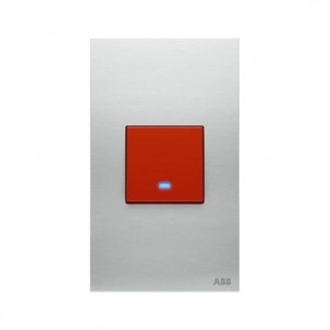 ABB Dual Pole Electrical Switch with LED, Millenium, 1 Gang, 1 Way, 45A, Stainless Steel - AM17844-ST