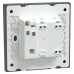 Schneider Bell Switch, AvatarOn C, 10A 250V, 1 Gang, with Illuminated DND 