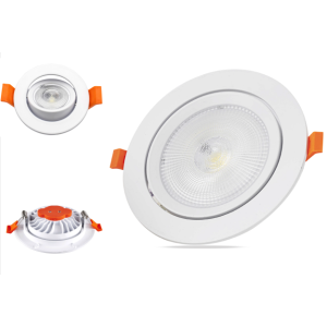 Frater Eco Adjustable Downlight Virgo Series 10W, 3000K, Aluminum Housing, IP20 ,Black Finish - FEDL10WVIR