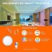 Ledvance Smart Led Lamp With Bluetooth E27 Dimmable Warm White (2700 k)  With Alexa & Google Smart + Filament Globe Dim 